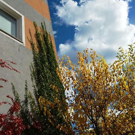 Hisa Posebne Sorte Kodreti Exterior photo